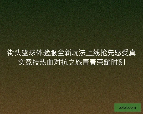 街头篮球体验服全新玩法上线抢先感受真实竞技热血对抗之旅青春荣耀时刻